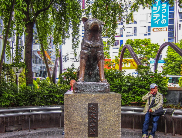 ▲도쿄 시부야역 하치코 출구로 나오면 충견 하치코(忠犬ハチ公) 동상이 있다(이현숙 동년기자)
