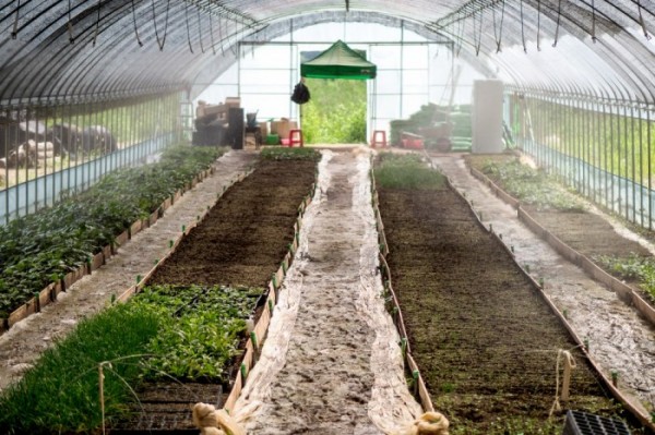 ▲뫼살이 농장에서 각종 산나물 모종을 기르는 비닐하우스. (브라보마이라이프DB)