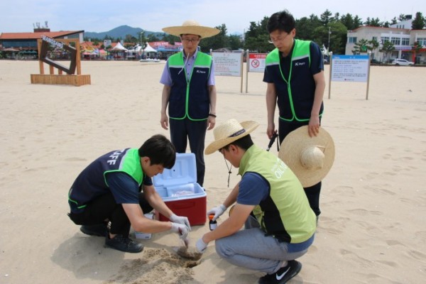 ▲한국석유관리원이 동해안 모래사장에서 시료를 채취하는 모습. (사진=한국석유관리원)