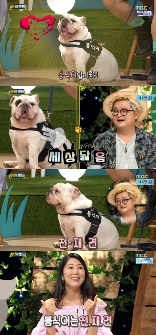 (▲MBC '하하랜드')