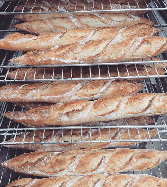 (출처=바게트K 인스타그램)