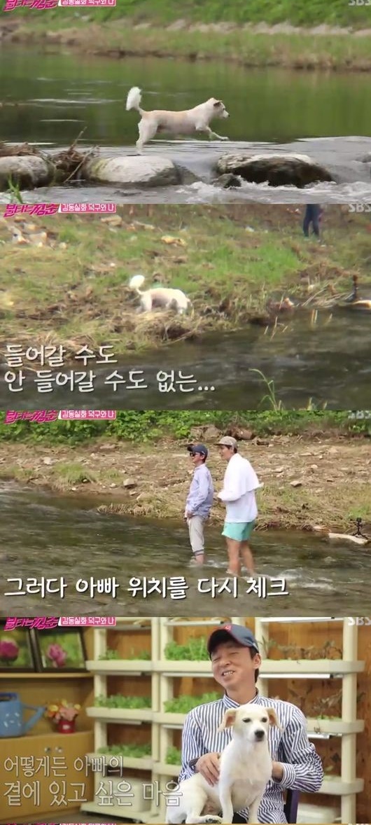 (▲SBS '불타는 청춘' )