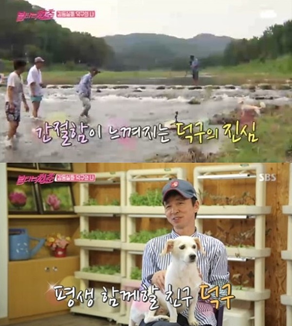 ▲김국진 덕구(사진=SBS '불타는 청춘' 캡처)