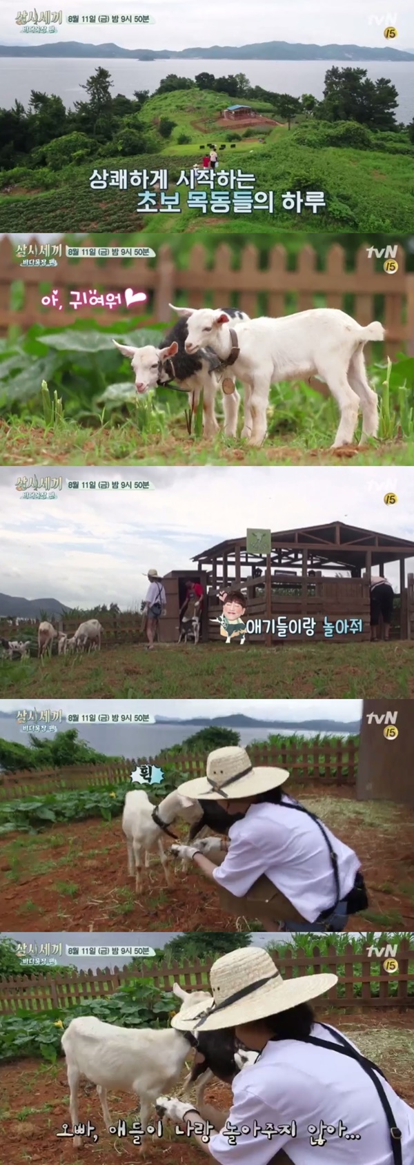(▲tvN '삼시세끼 바다목장')