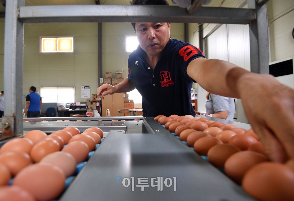 (이동근 기자 foto@)