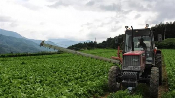 ▲일본 나가노 현의 양상추 밭에서 한 농부가 트랙터로 작업을 하고 있다. 블룸버그.