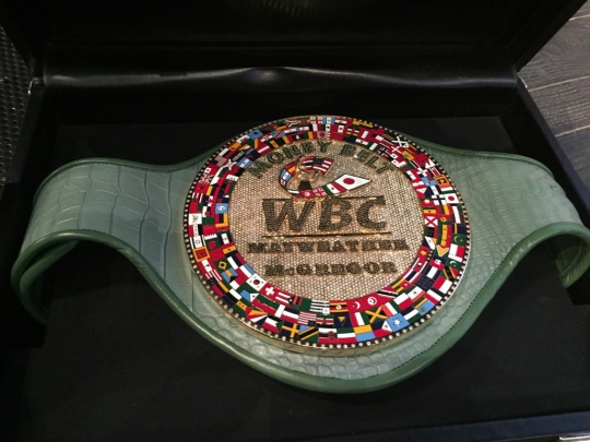 (출처=세계복싱평의회(WBC))