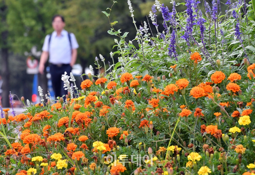 (이동근 기자 foto@)