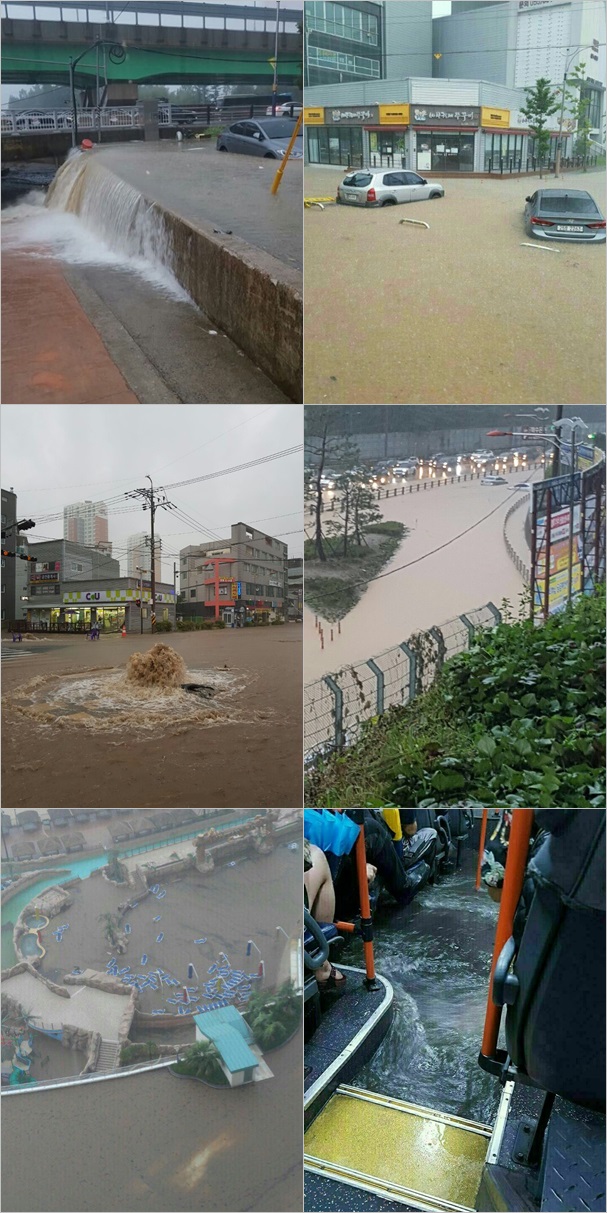 (출처=온라인 커뮤니티)