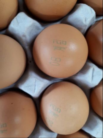 ▲살충제 성분이 검출된 '맑은 계란'(사진제공=식약처)