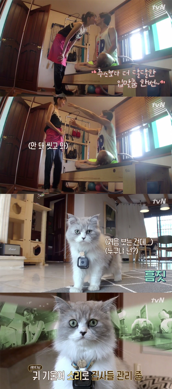 ▲'대화가필요한개냥' 1회 캡처(사진=tvN)