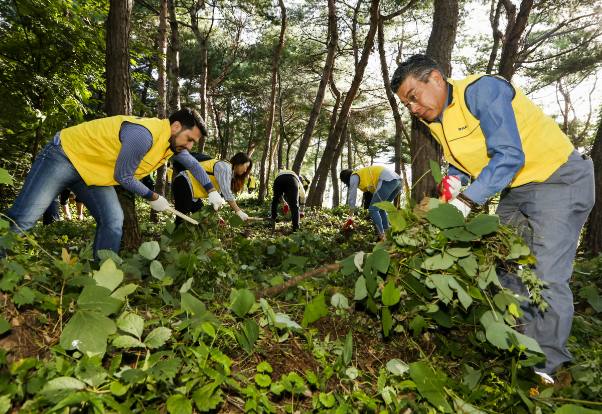 ▲대림산업 강영국 대표이사(사진 오른쪽)와 대림산업 직원들이 남산 소나무숲에서 유해식물 제거 활동을 펼치고 있다.(사진=대림산업)