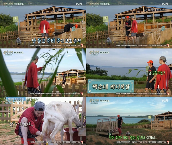 (▲tvN '삼시세끼 바다목장')
