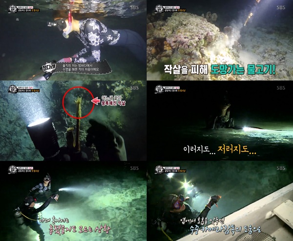 (▲SBS '정글의 법칙')