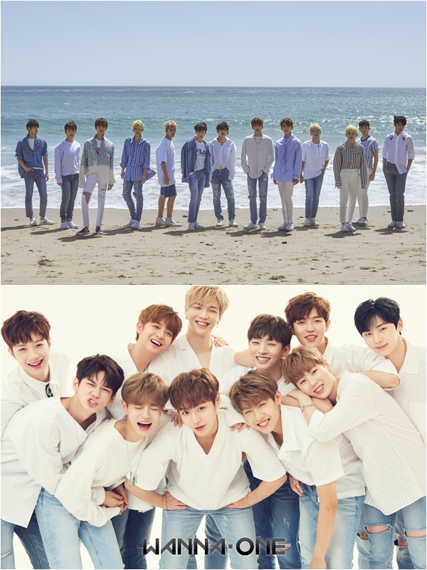 ▲보이그룹 세븐틴(위쪽)과 워너원(사진=각 소속사)