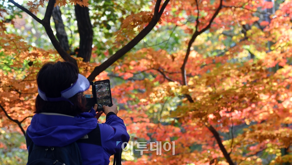 (이동근 기자 foto@)