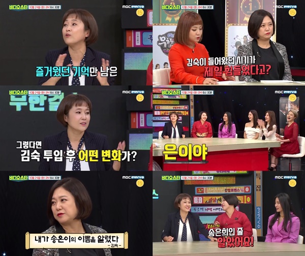 (▲MBC 에브리원 '비디오 스타')