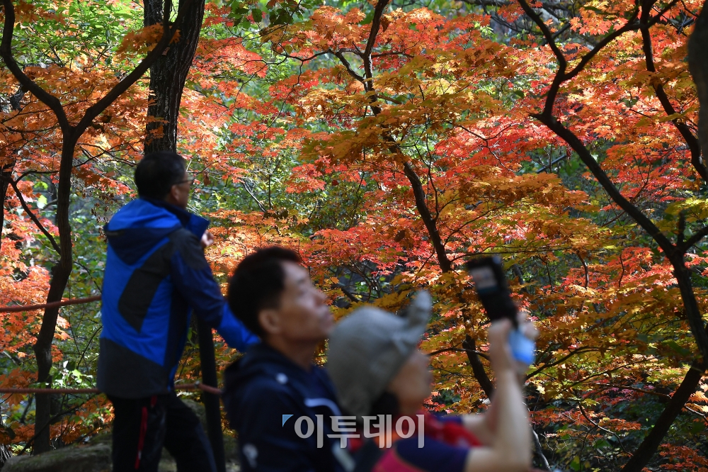 (이동근 기자 foto@)