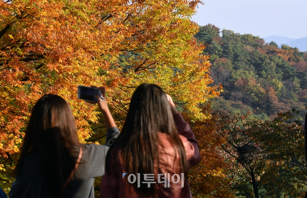 (이동근 기자 foto@)