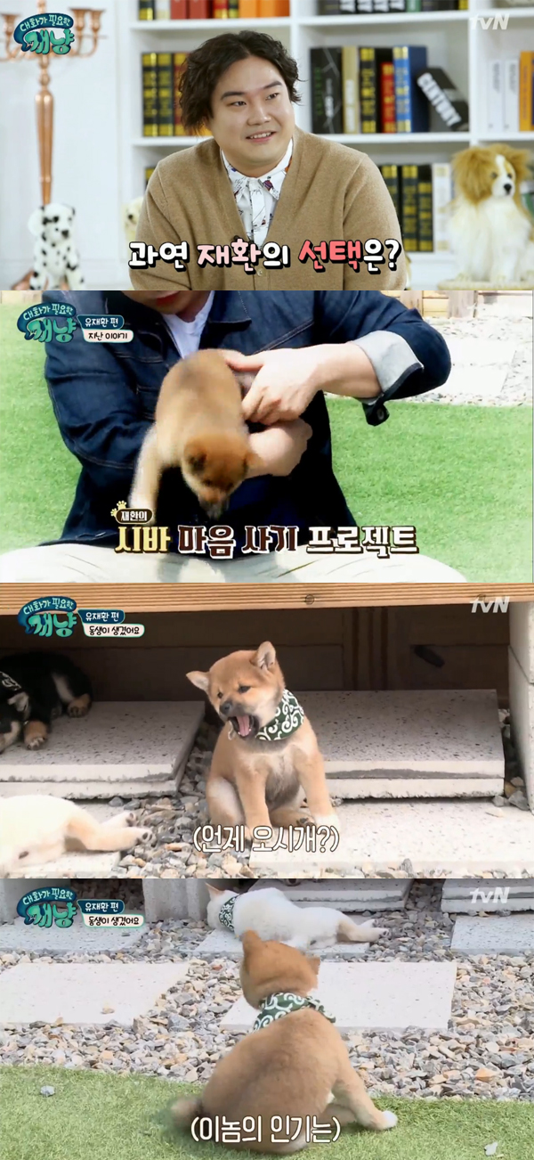 ▲'대화가필요한개냥' 유재환(사진=tvN)