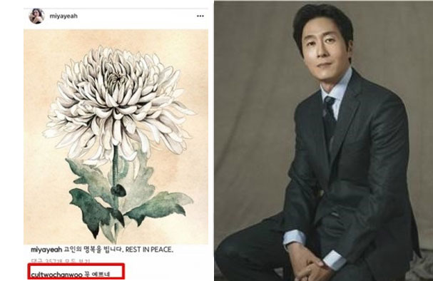 (출처=선미 인스타그램, 나무엑터스)