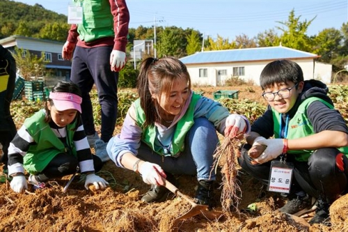 ▲홈플러스 임직원과 가족들이 지난 29일 충청남도 보령시 청라면 은행마을에서 농촌 일손돕기 자원봉사활동을 펼치고 있다. 홈플러스의 사회공헌재단 ‘e파란재단’은 지난 26일부터 29일까지 홈플러스 임직원과 가족, 시민자원봉사단 등 총 160명을 대상으로 봉사활동과 지역 명소 가족여행을 결합한 신개념 ‘볼룬투어(Volunteer+Tour)’를 각각 1박2일간 총 2차례에 걸쳐 진행했다.(사진제공=홈플러스)