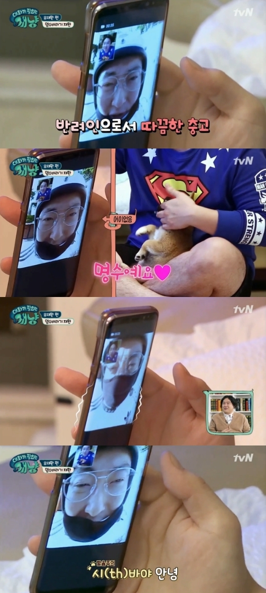 (▲tvN '대화가 필요한 개냥')