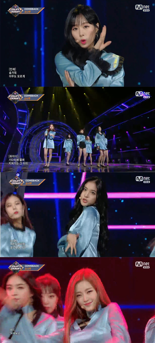 ▲'엠카운트다운' 소나무(사진=Mnet)