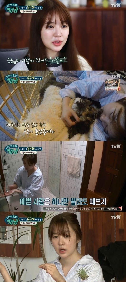 (▲tvN '대화가 필요한 개냥')