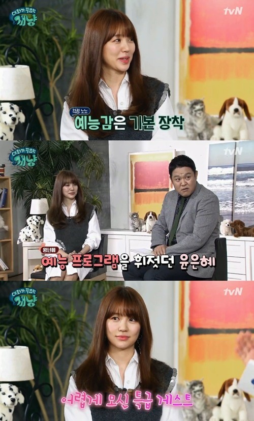 (▲tvN '대화가 필요한 개냥')
