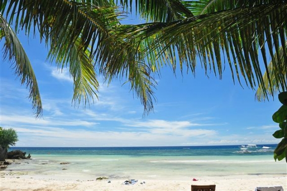 ▲보홀과 팡라오 섬을 대표하는 알로나비치 해변은 백사장과 해안선이 아름답기로 유명하다. 사진제공 참좋은여행