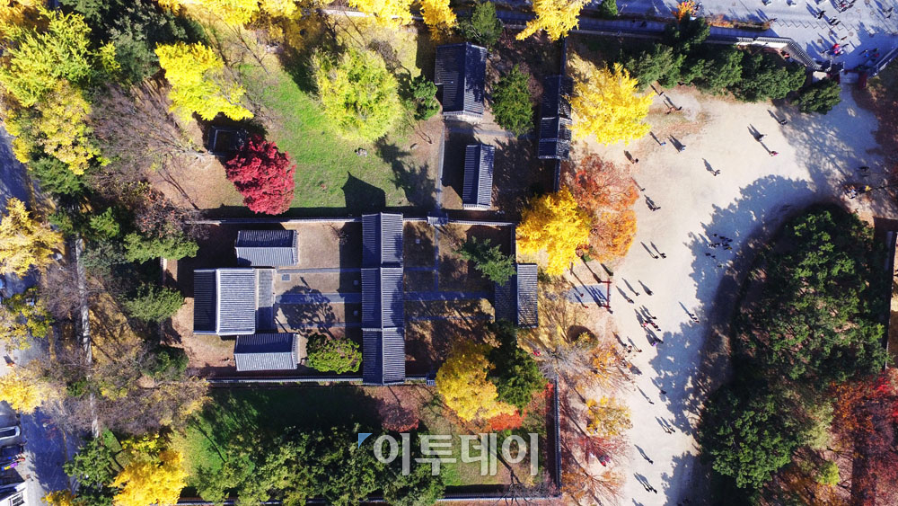 ▲전북 전주시 경기전 일대의 단풍과 가을볕에 길게 드리워진 그림자가 계절의 끝자락을 전하고 있다.