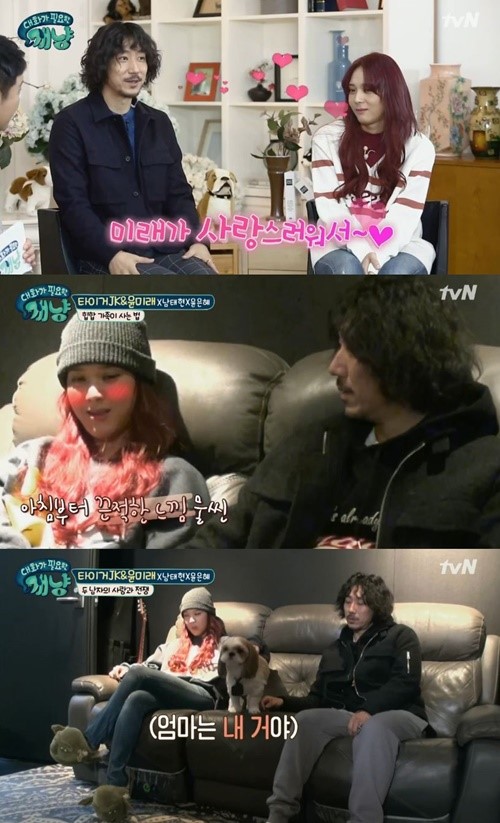 (▲tvN '대화가 필요한 개냥')