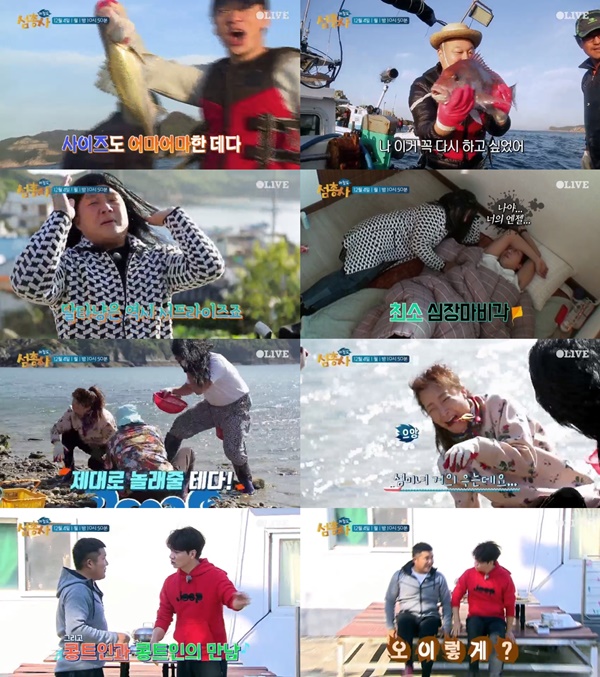 (▲tvN, 올리브 TV '섬총사')