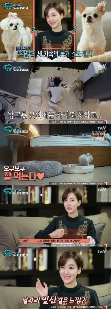 (▲tvN '대화가 필요한 개냥')