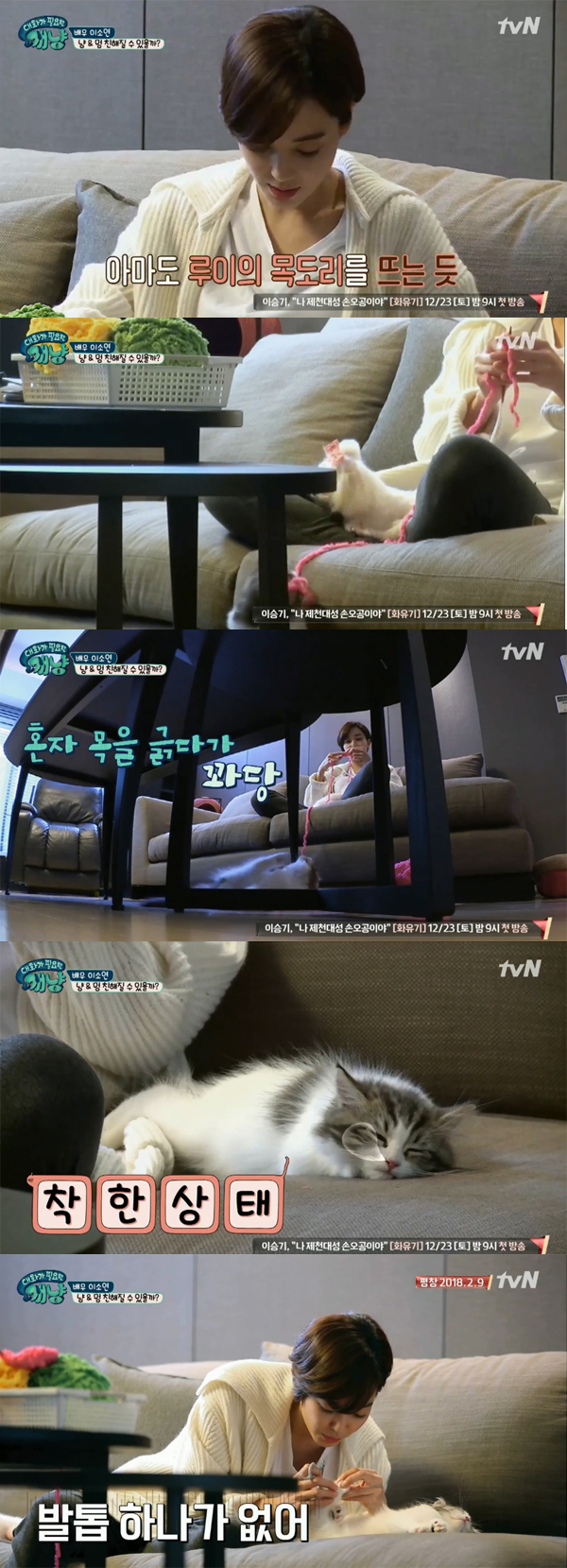 ▲'대화가 필요한 개냥' 이소연(사진=tvN)