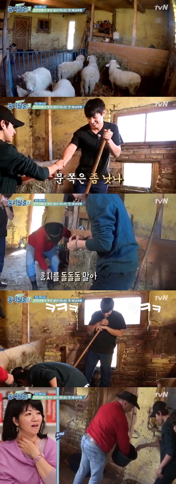 (tvN '둥지탈출2')