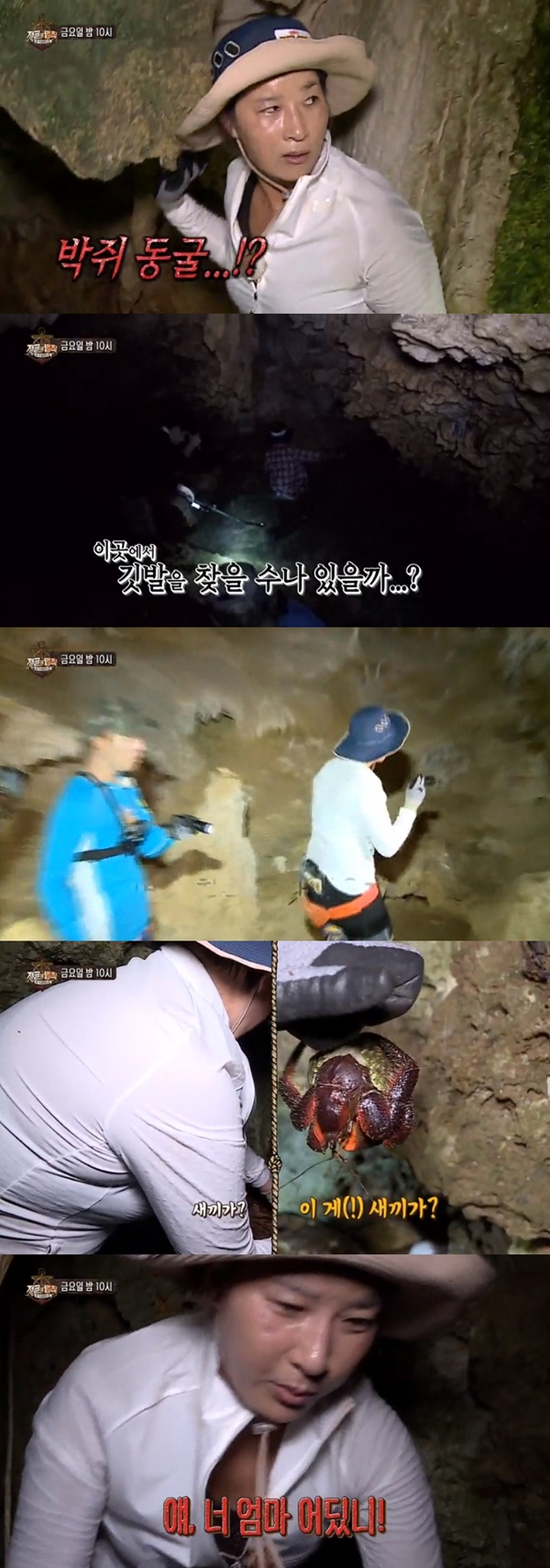 (▲SBS '정글의 법칙')