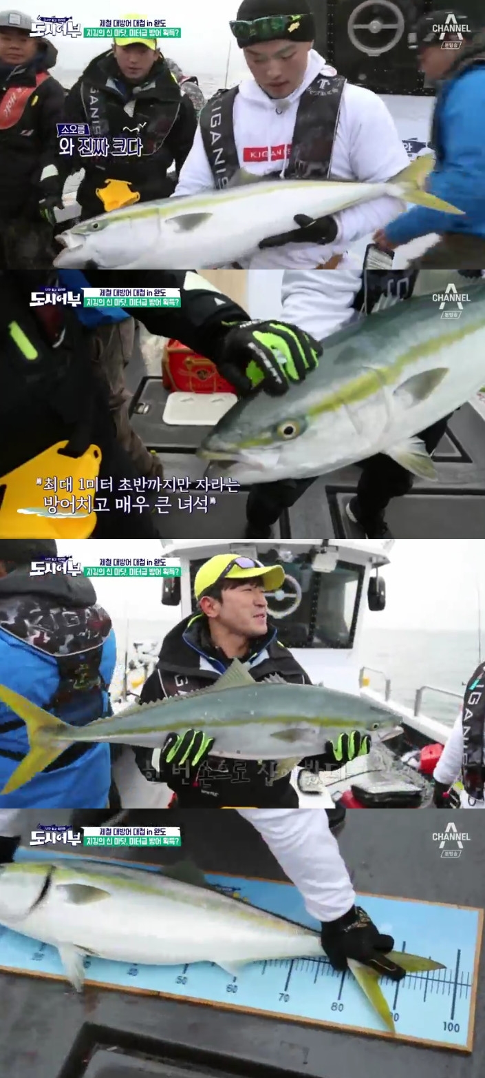 (출처=채널A '도시어부' 캡처)