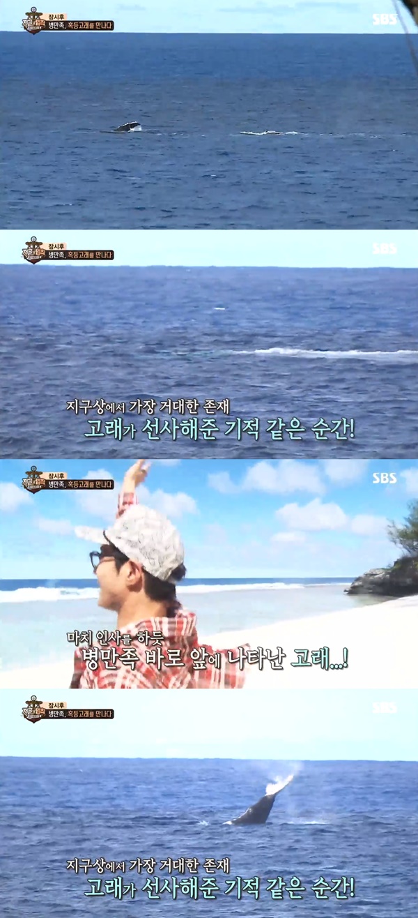 (▲SBS '정글의 법칙')