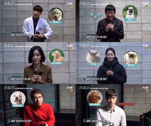 (▲tvN 드라마 '크로스')