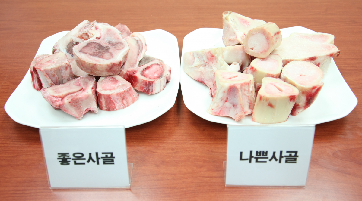 ▲품질이 좋은 사골(왼쪽)과 나쁜 사골을 비교한 모습(농촌진흥청)