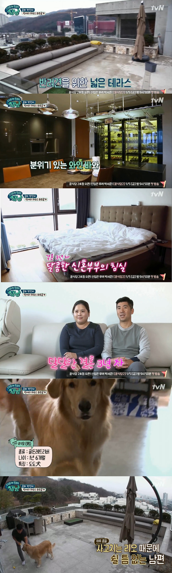 ▲'대화가 필요한 개냥' 캡처(사진=tvN)