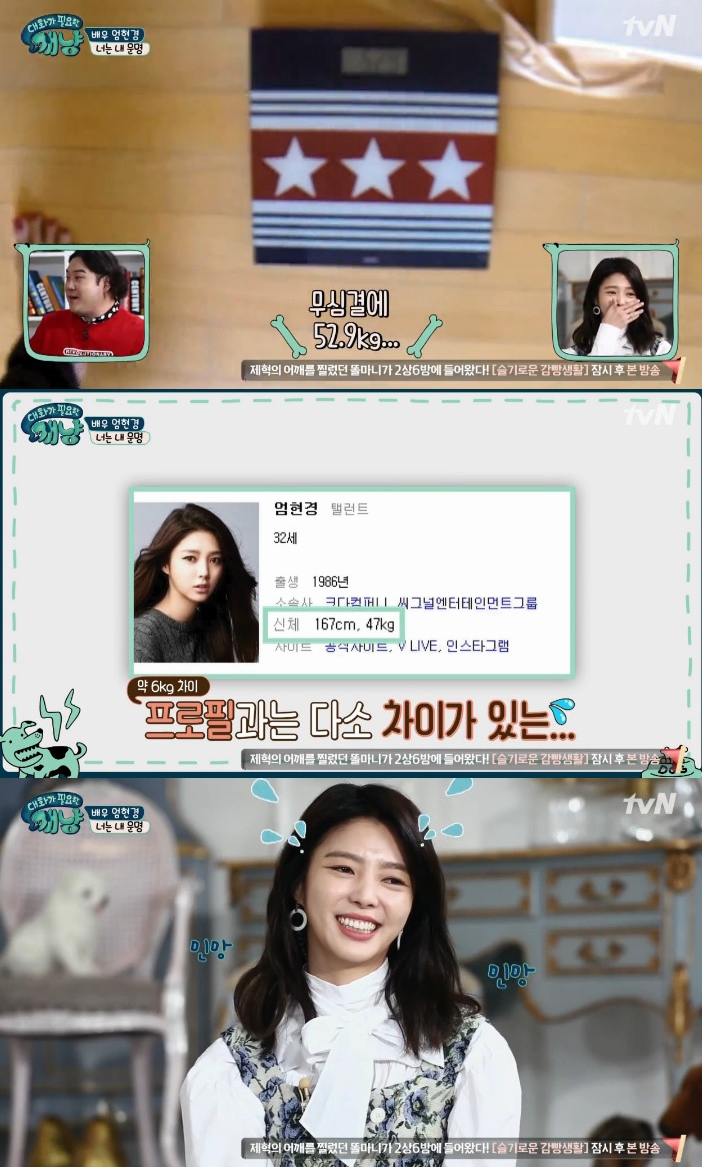 ▲엄현경(출처=tvN '대화가 필요한 개냥' 방송캡처)