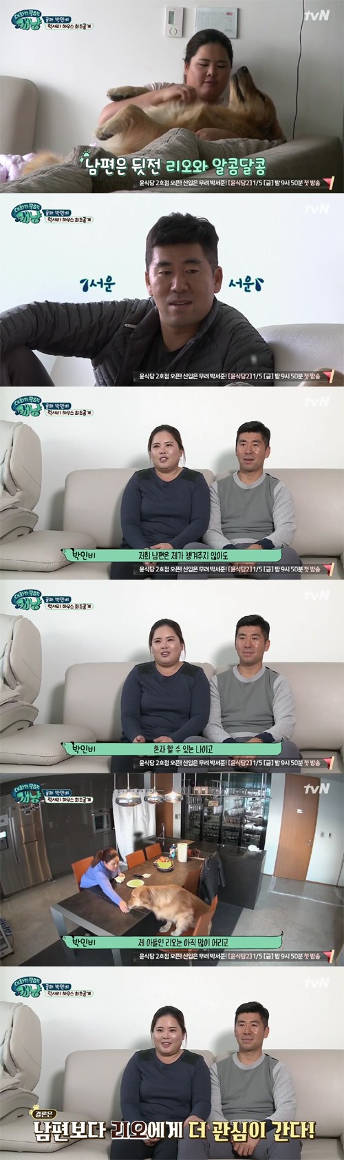 (▲tvN '대화가 필요한 개냥')