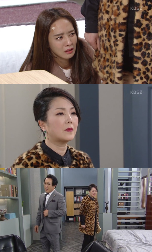 (KBS2 일일드라마 '내 남자의 비밀' )