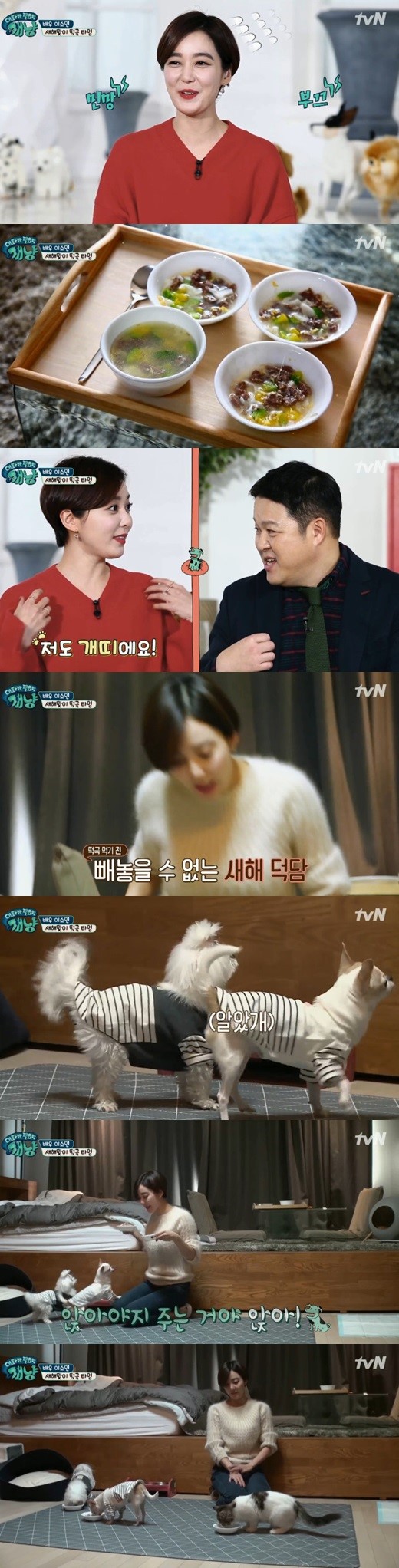 (tvN '대화가 필요한 개냥' )