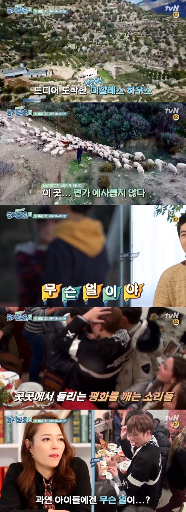 (tvN '둥지탈출2')