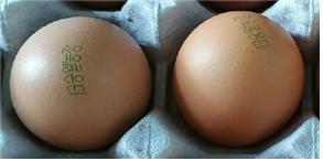 ▲부적합 계란 난각표시(농림축산식품부)