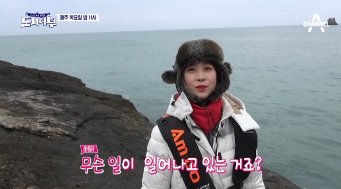 (출처=채널A 방송 캡쳐)